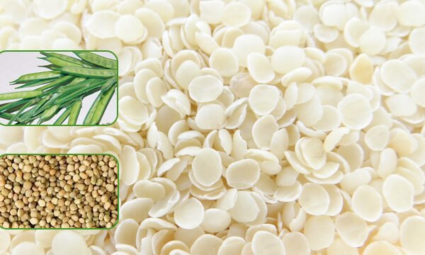 Guar Gum Split